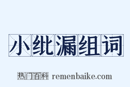 小纰漏组词是什么意思的图片
